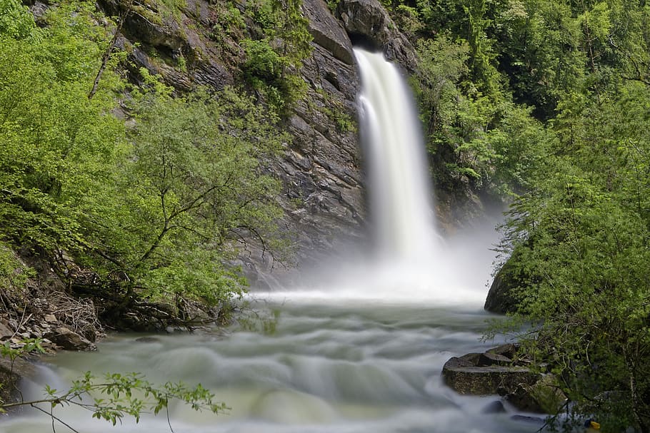 Waterfall Surrounded by Green Plants, cascade, environment, flow HD wallpaper