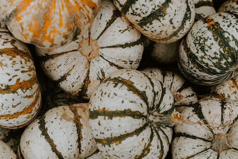 pumpkin lot, mini pumpkin, white pumpkin, october, fruit, edible, HD wallpaper