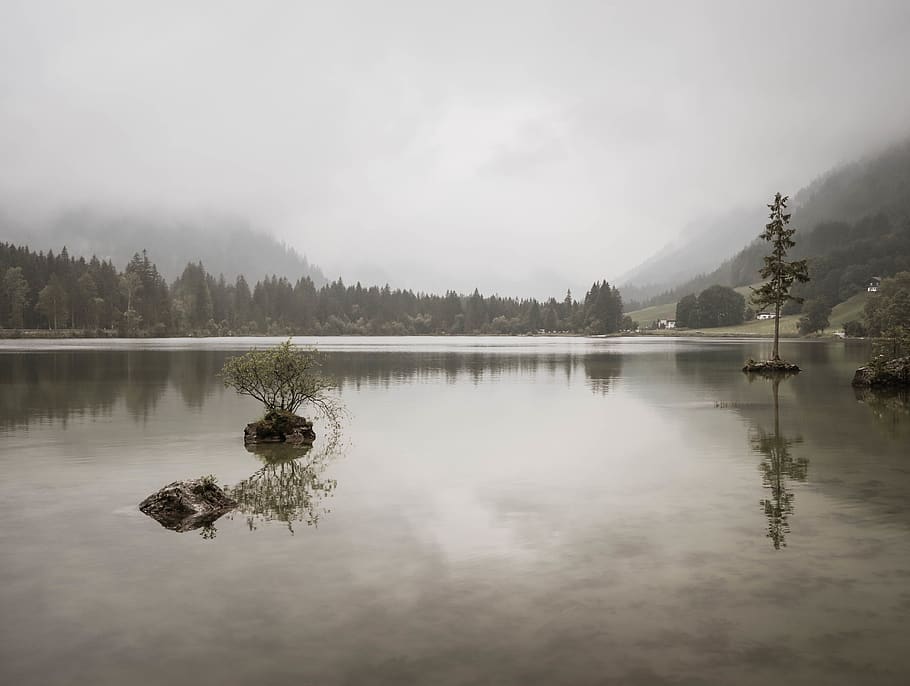 lake, mountain, trees, adventure, quite, calm, opaque, fog, HD wallpaper