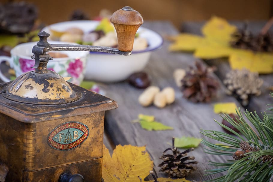 autumn, sheets, table, millstone, peanuts, chestnuts, pine cones HD wallpaper