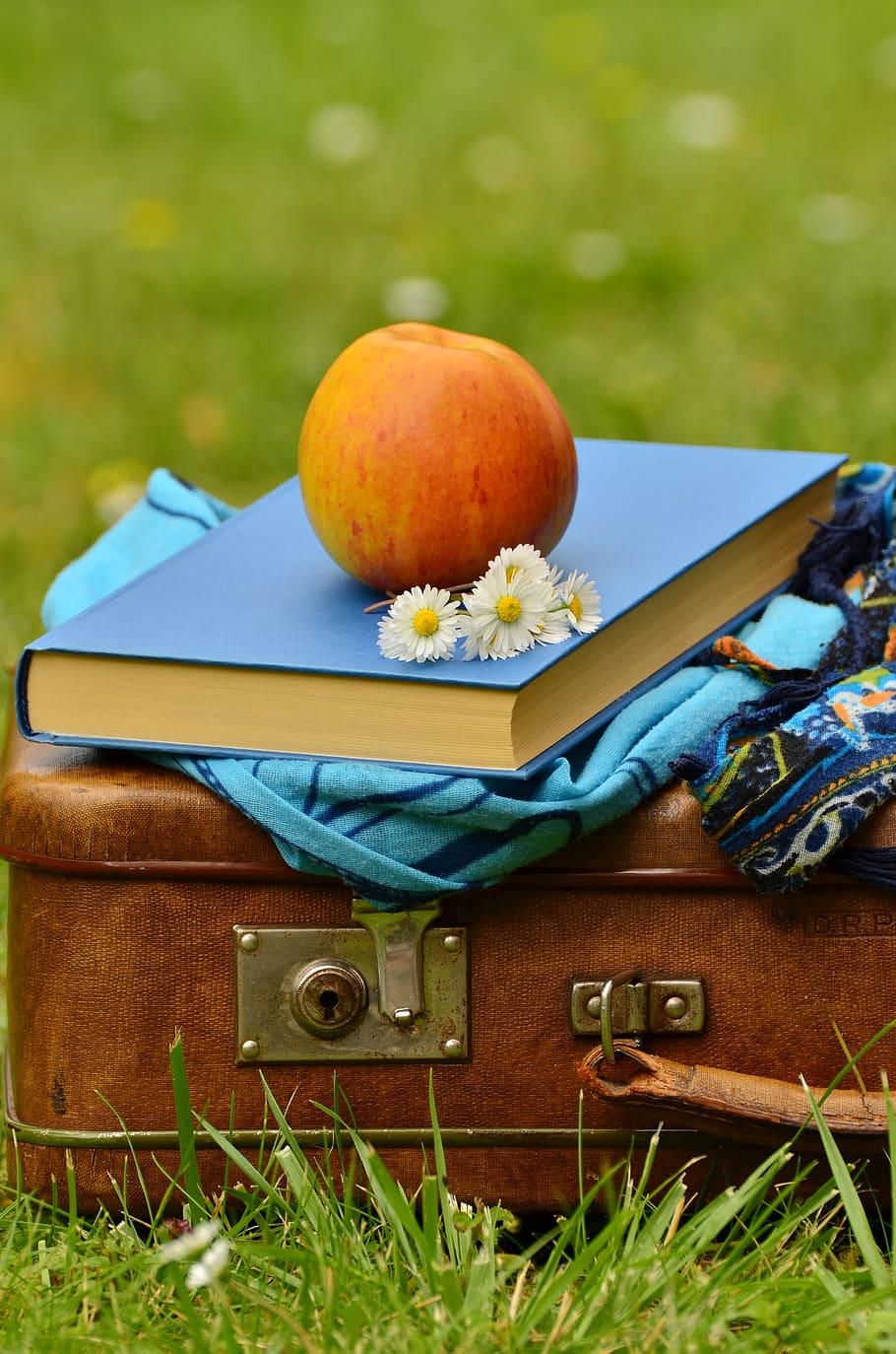 Red Apple on Blue Closed Book, color, daisy, flowers, food, fruit HD wallpaper