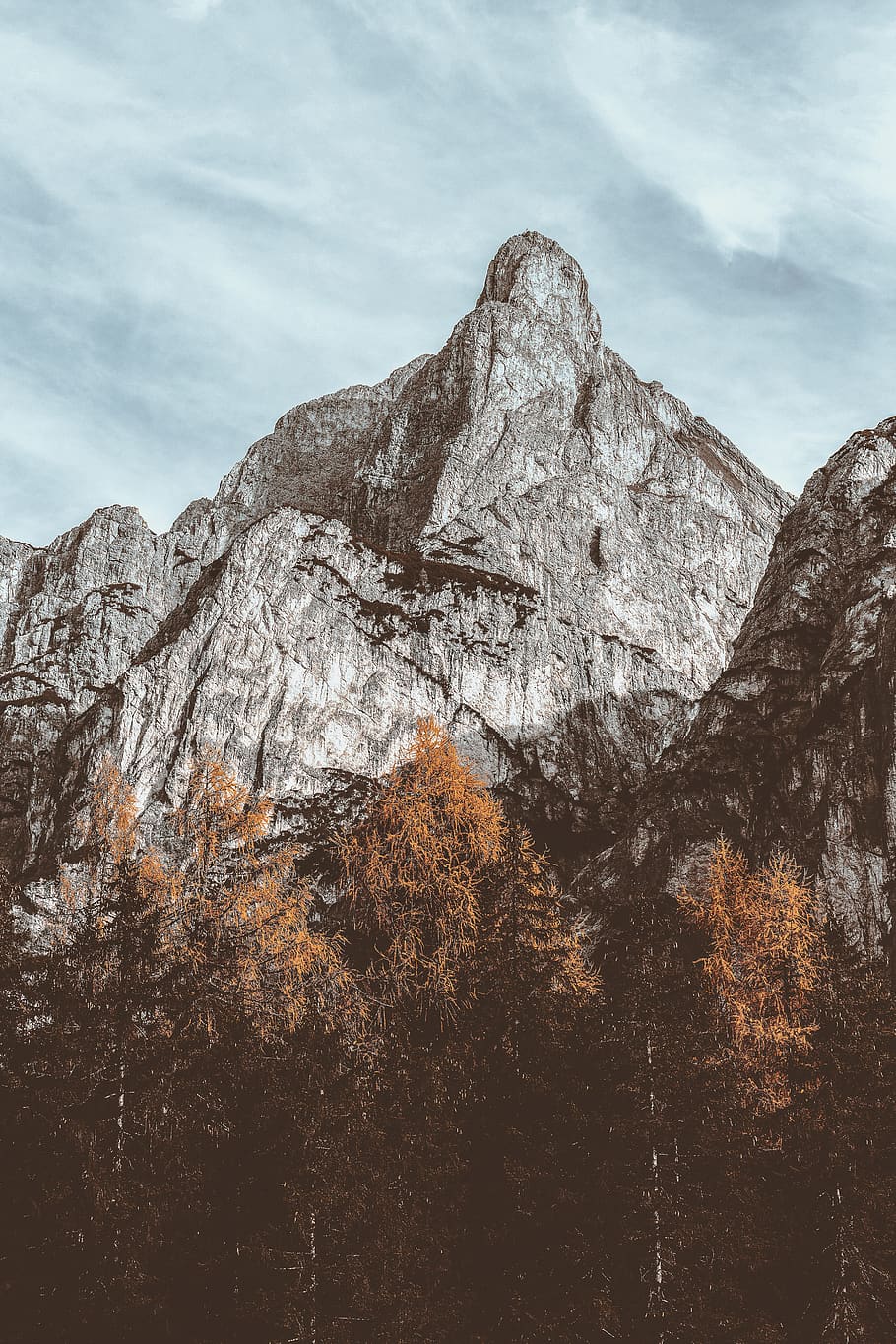 mountain range, nature, outdoors, peak, plant, tree, abies, fir HD wallpaper