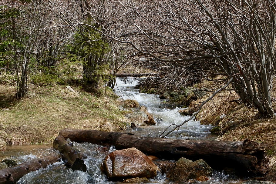 water, nature, creek, stream, outdoors, new mexico, snow melt HD wallpaper