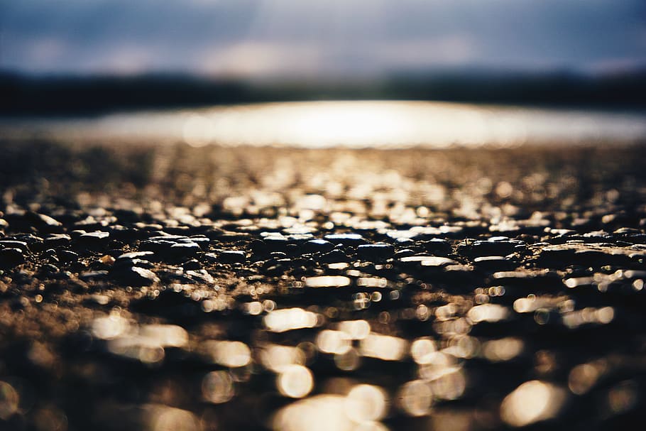 usa, sunset, washington dc, selective focus, no people, nature HD wallpaper