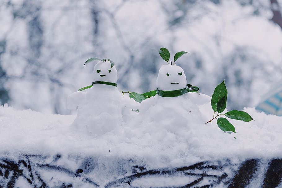 winter, snow, cold temperature, nature, snowman, plant, no people HD wallpaper