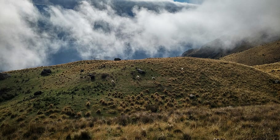 Green Hill Covered by Clouds, cloudy, cropland, daylight, environment HD wallpaper