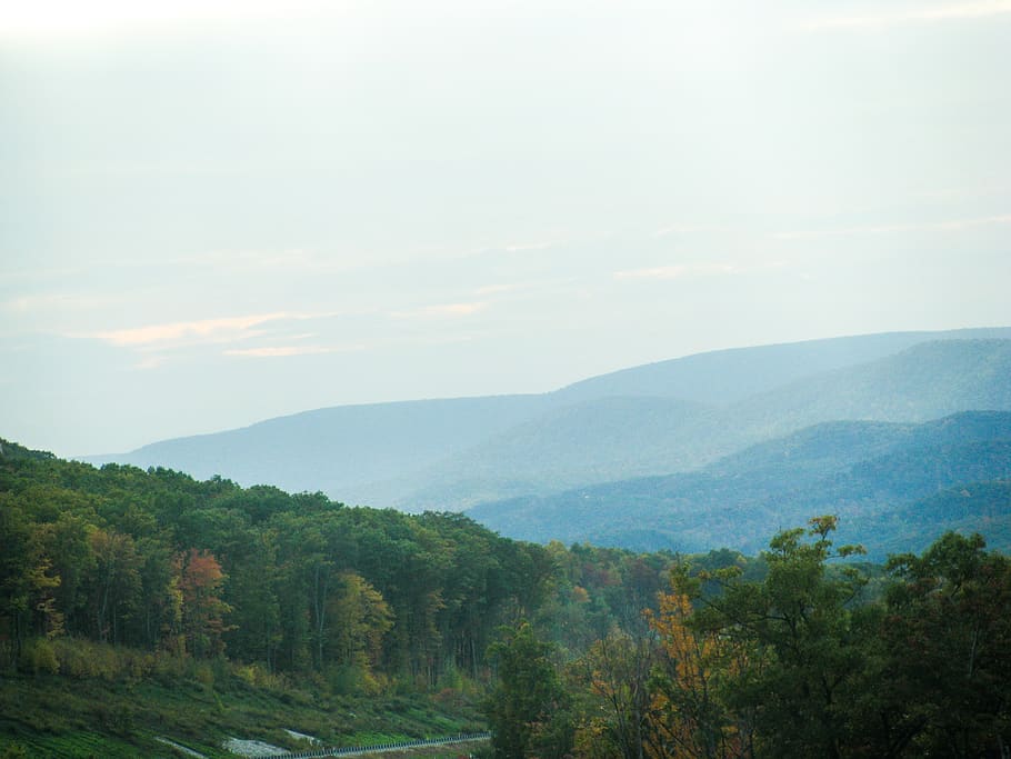 mountains, hills, trees, landscape, nature, scenics - nature HD wallpaper