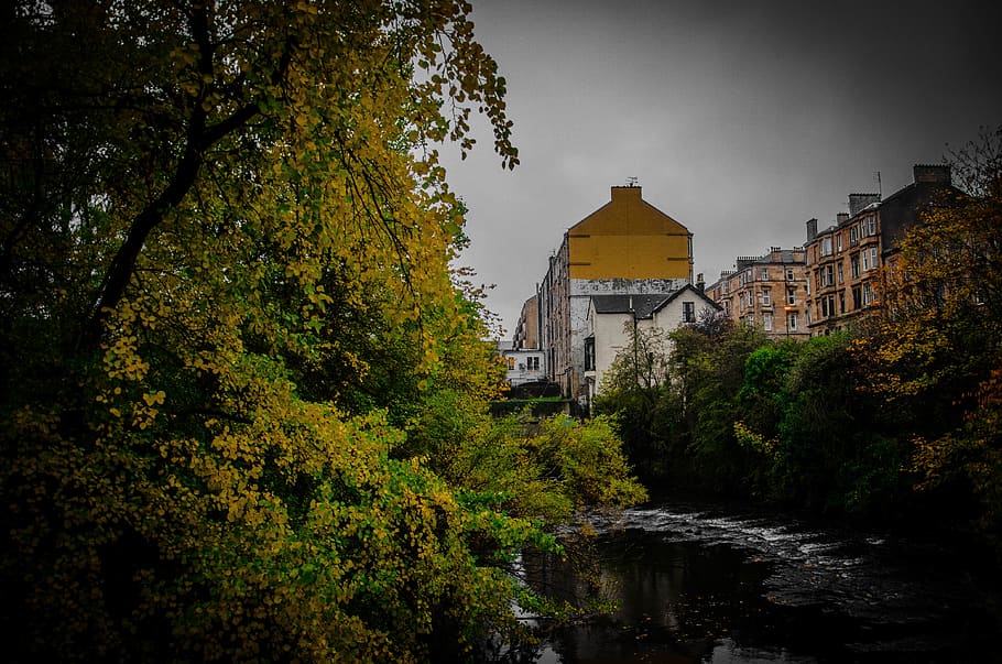 Yellow and Green Trees Beside River, architecture, buildings HD wallpaper
