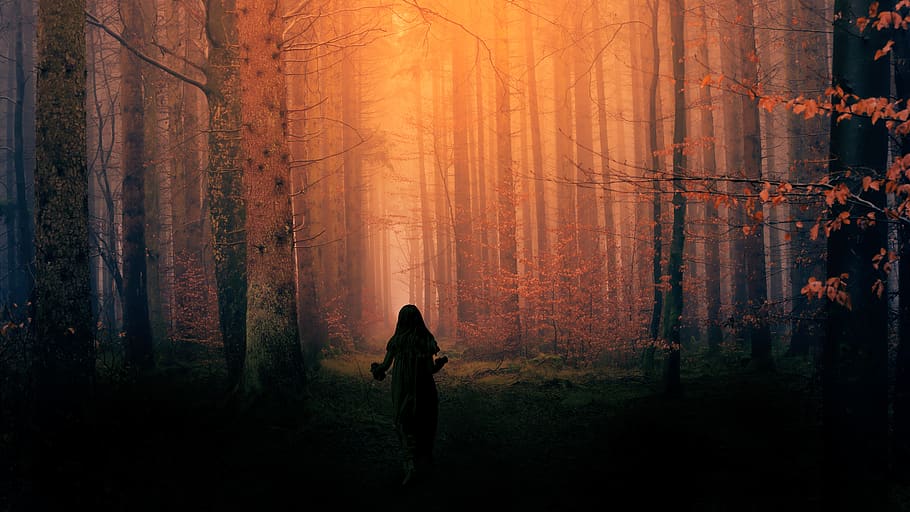spook, forest, scary, nightmare, kid, girl, dark, spooky, tree, HD wallpaper