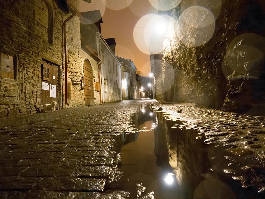 tallinn, night, rain, puddle, estonia, city, lights, cobblestone HD wallpaper