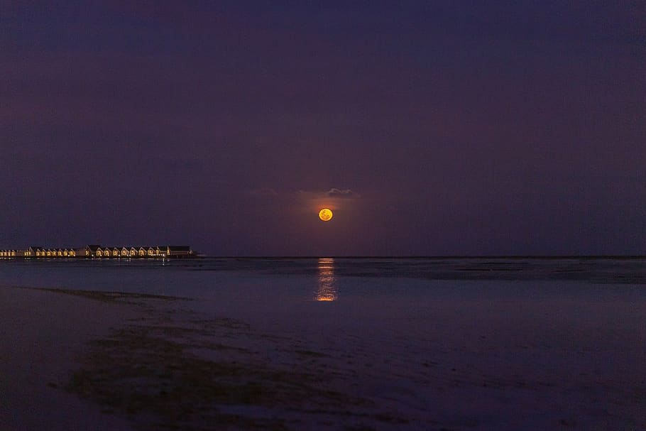shore during nighttime, nature, outdoors, maldives, sea, ocean