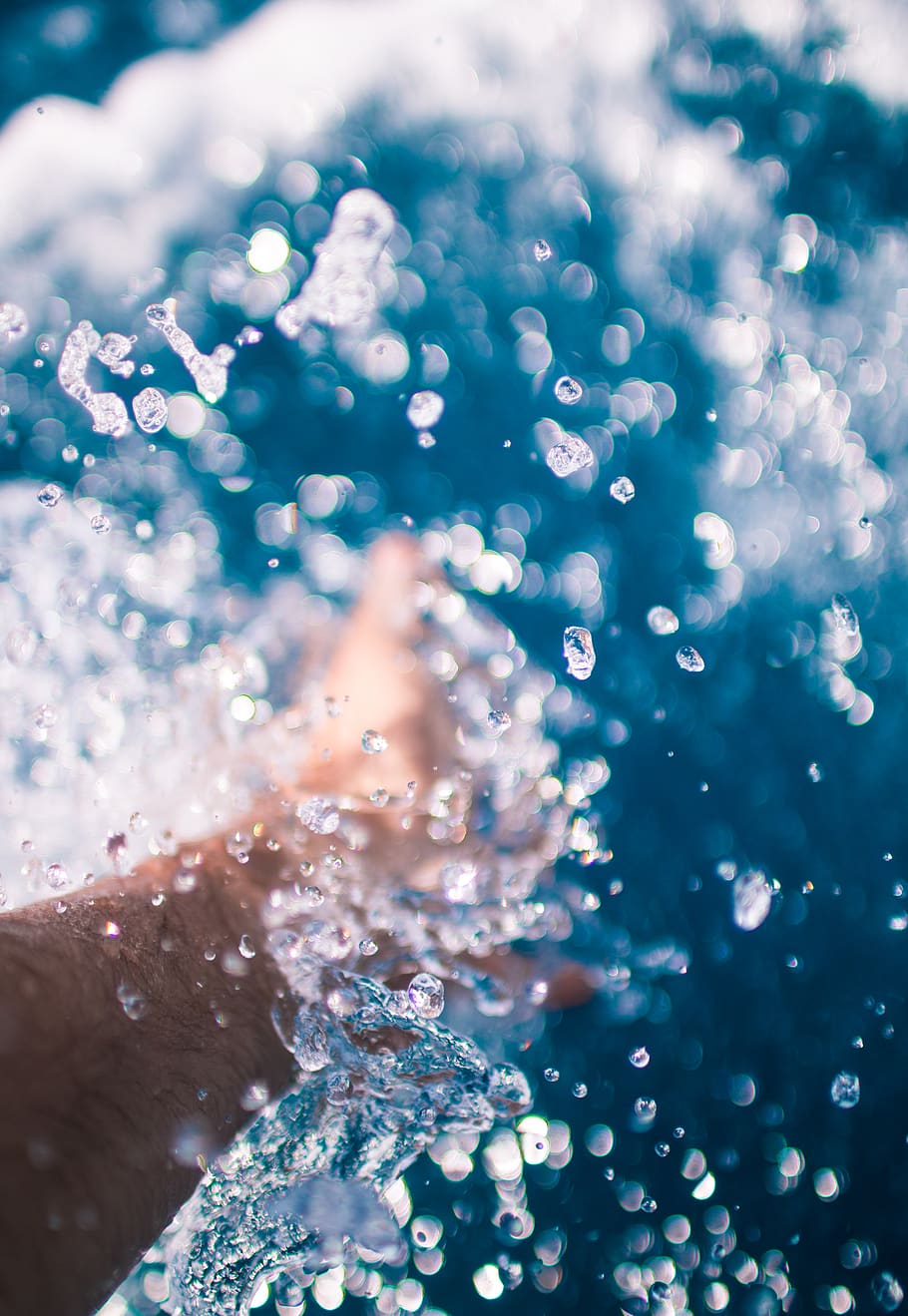 indonesia, bali, water, selective focus, close-up, day, nature HD wallpaper