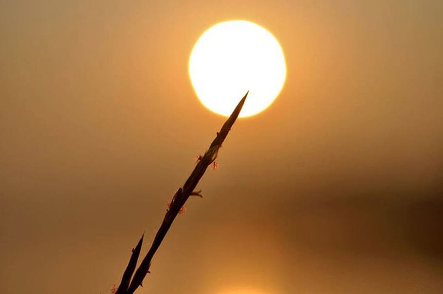 india, pune, sun, subtle, nature, sunlight, no people, sky HD wallpaper