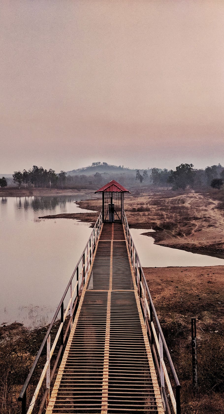 trees, forest, lake, bridge, sky, water, direction, the way forward HD wallpaper
