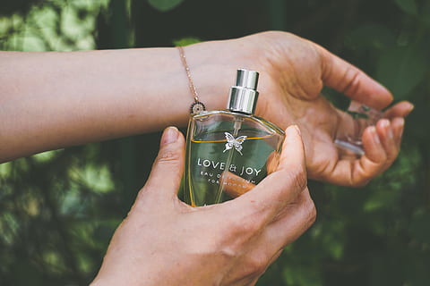 Lover Boy fragrance bottle, person, human, cosmetics, perfume HD wallpaper