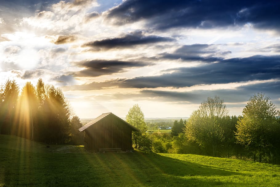 Sunrays Through Trees, clouds, country, grass, hill, landscape HD wallpaper