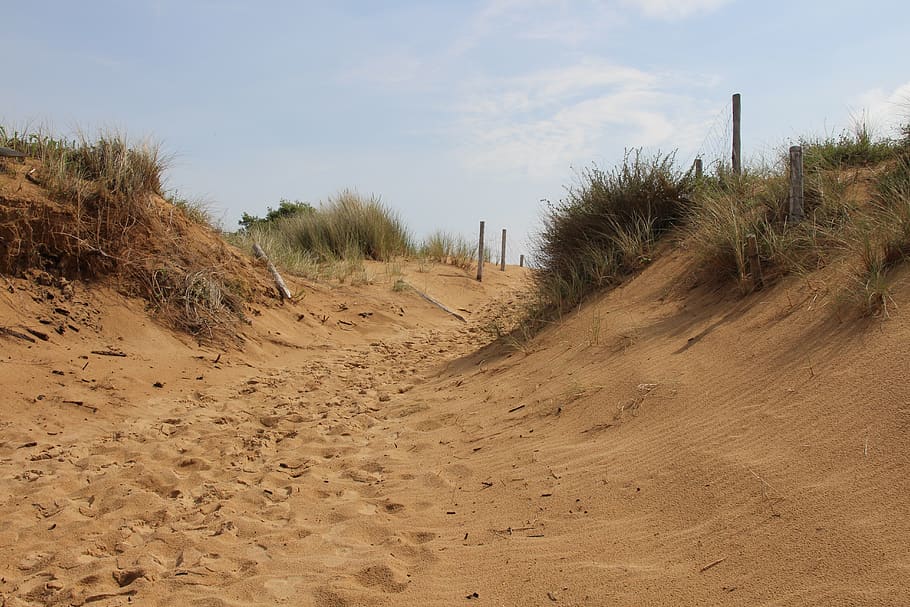 oléron, beach, dune, sand, sea, ocean, holiday, dom, island HD wallpaper