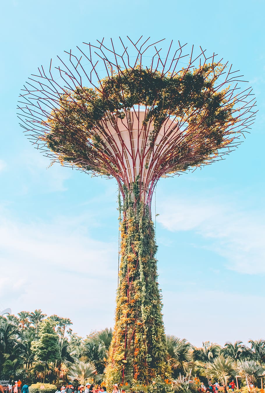 green leaf plants under clear sky, cactus, flora, gardens by the bay HD wallpaper