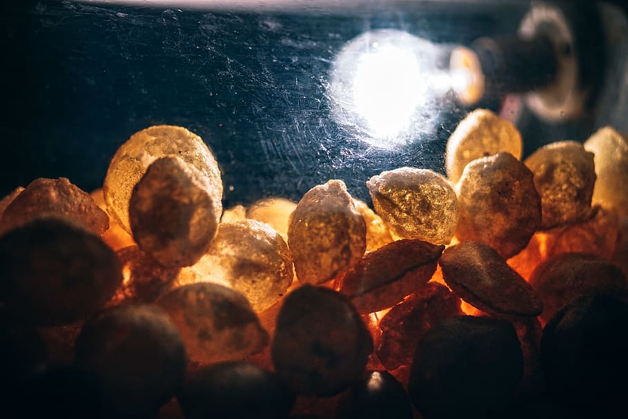 Light Bulb Turned on, background, blur, close-up, color, dark HD wallpaper