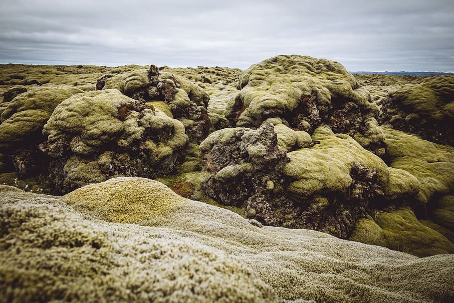 rock formation under gray sky, nature, animal, water, sea life HD wallpaper