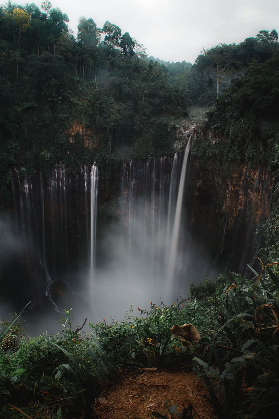 tree, scenics - nature, waterfall, plant, long exposure, beauty in nature HD wallpaper