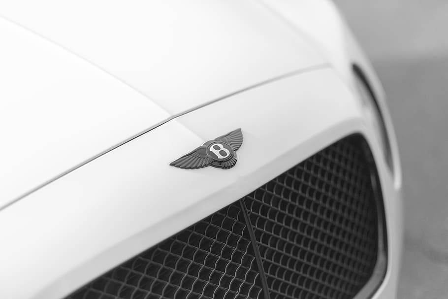 car, expensive, driving, wing, rich, black and white, grille HD wallpaper
