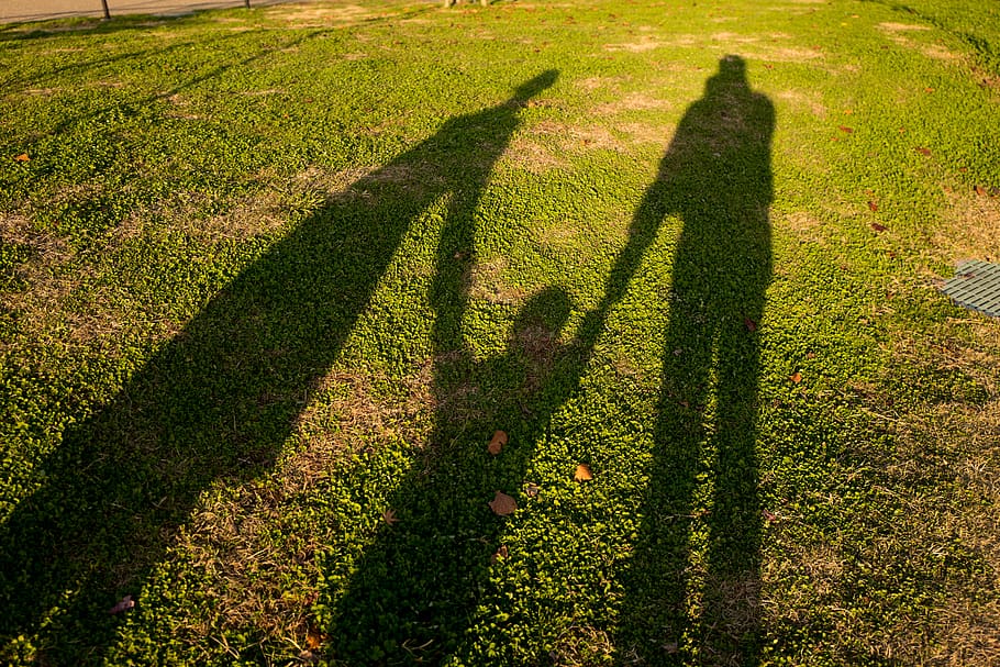 family, shadow, green color, sunlight, plant, nature, focus on shadow HD wallpaper