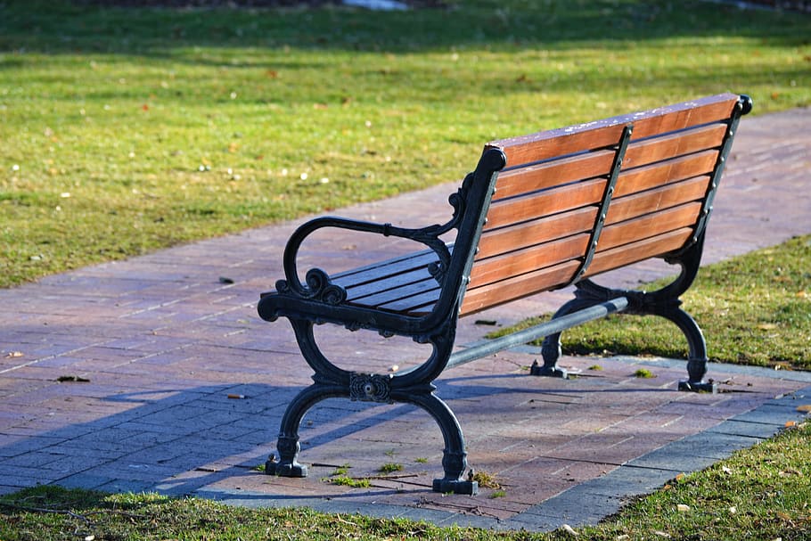 Black and Brown Wooden Bench Photo, bright, colors, daylight HD wallpaper