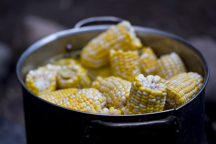 corn, boiled, yellow, cooking, boiling, sweet, water, healthy, HD wallpaper