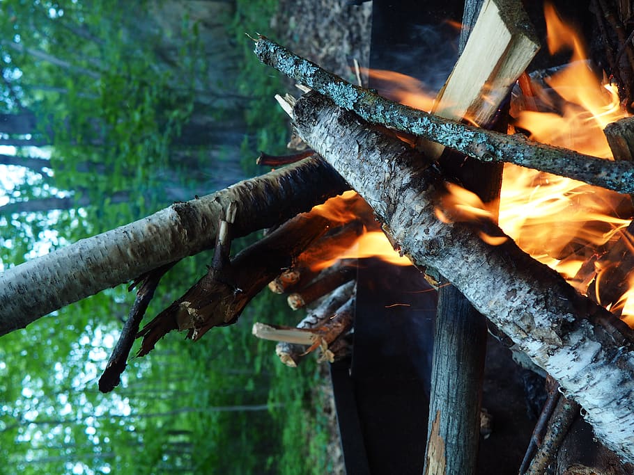 fire, camping, forest, burn, flames, wood, relax, burning, tree HD wallpaper