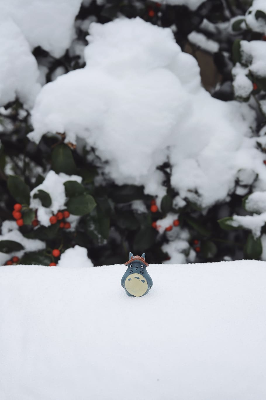 snow, totoro, cold temperature, winter, white color, day, nature HD wallpaper