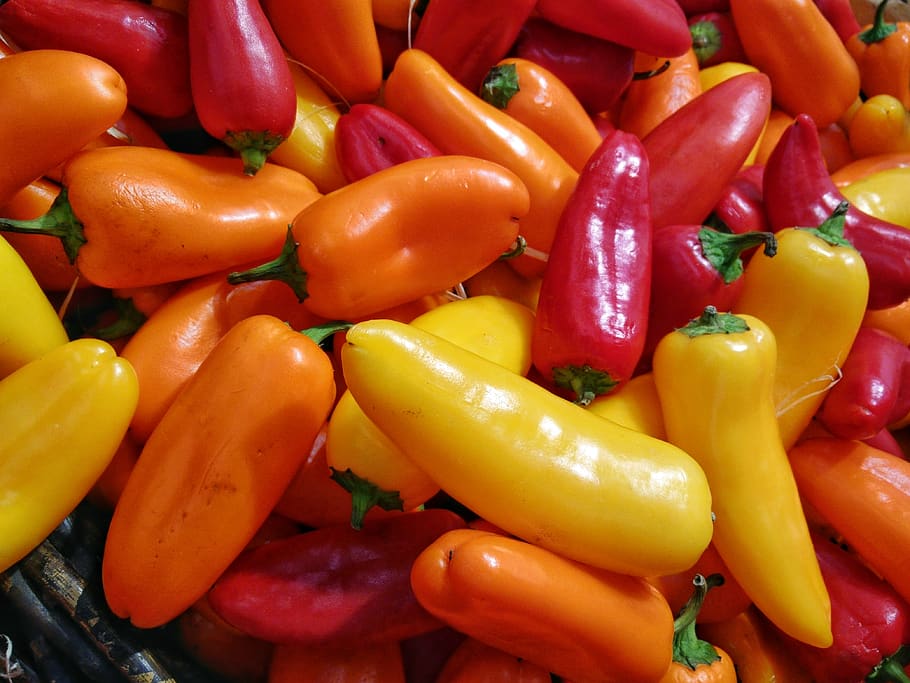food and drink, vegetable, pepper, freshness, backgrounds, full frame HD wallpaper