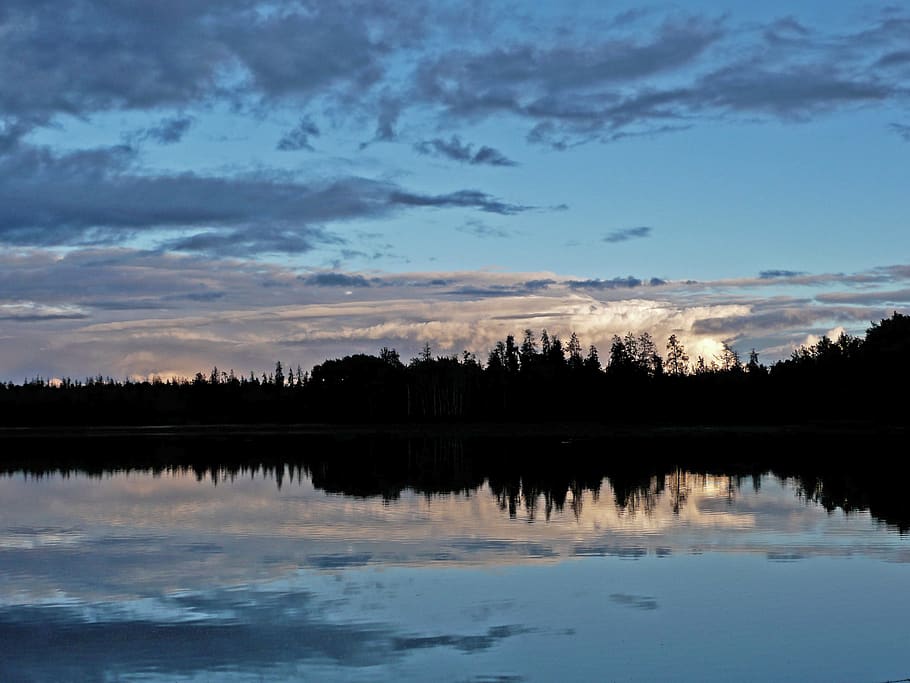 Silhouette Photo of Tree Near Body of Water Under Blue Sky, clouds HD wallpaper
