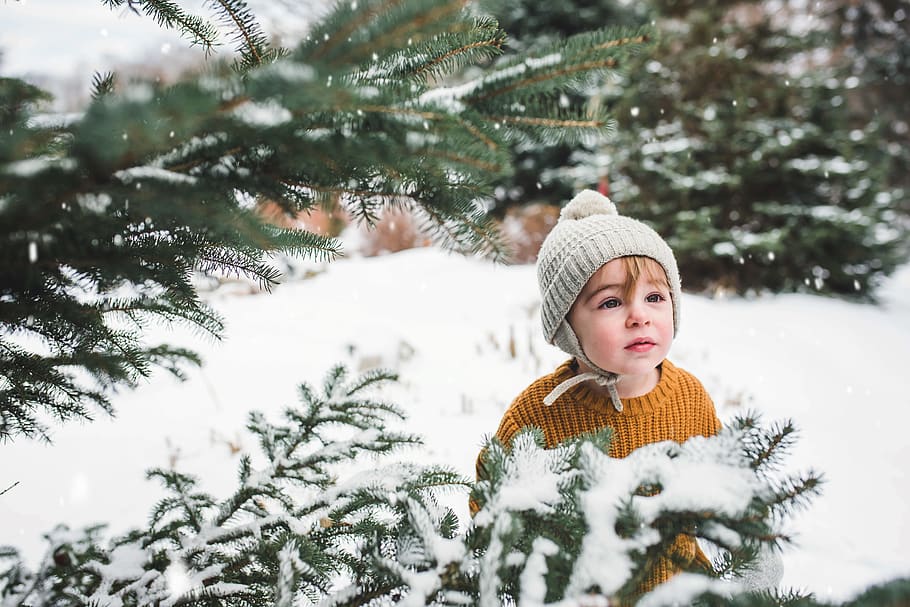 toddler beside pine tree, winter, cold temperature, snow, warm clothing HD wallpaper