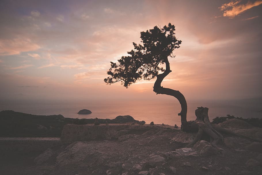 nature, landscape, trees, shadow, silhouette, sunshine, travel HD wallpaper