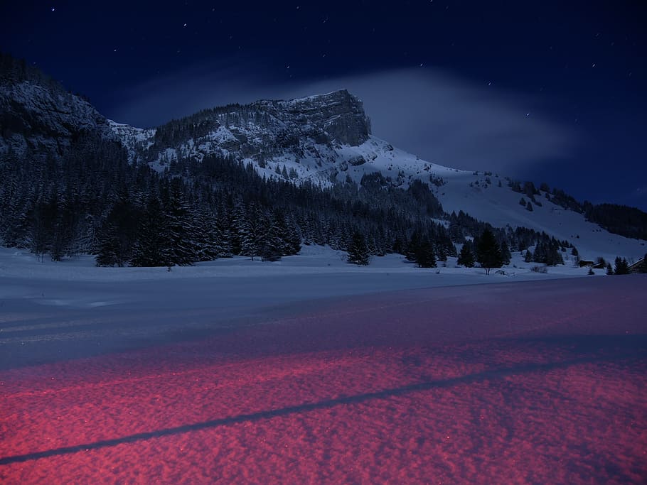 forest under mountain, night, snow, winter, night sky, clouds, HD wallpaper