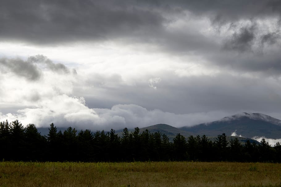Green Tree Under Cloudy Sky, clouds, mountain, nature, trees HD wallpaper