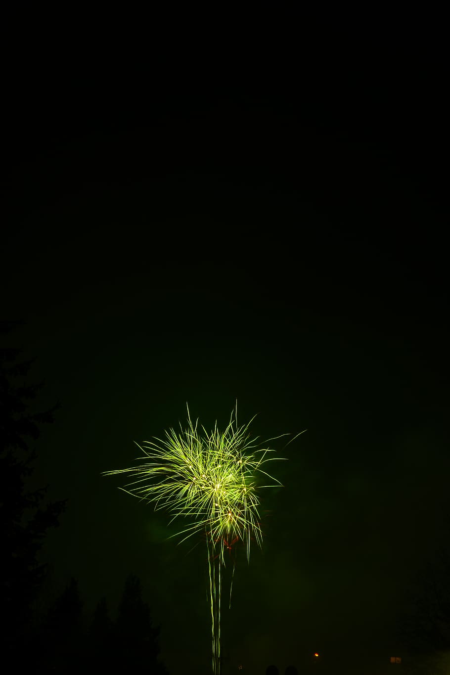 yellow fireworks, nature, outdoors, night, green, riederich, germany HD wallpaper