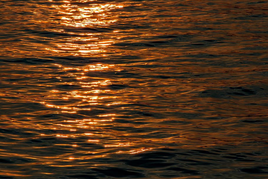 wave, background, water, texture, nature, hamburg, elbe, sunset HD wallpaper