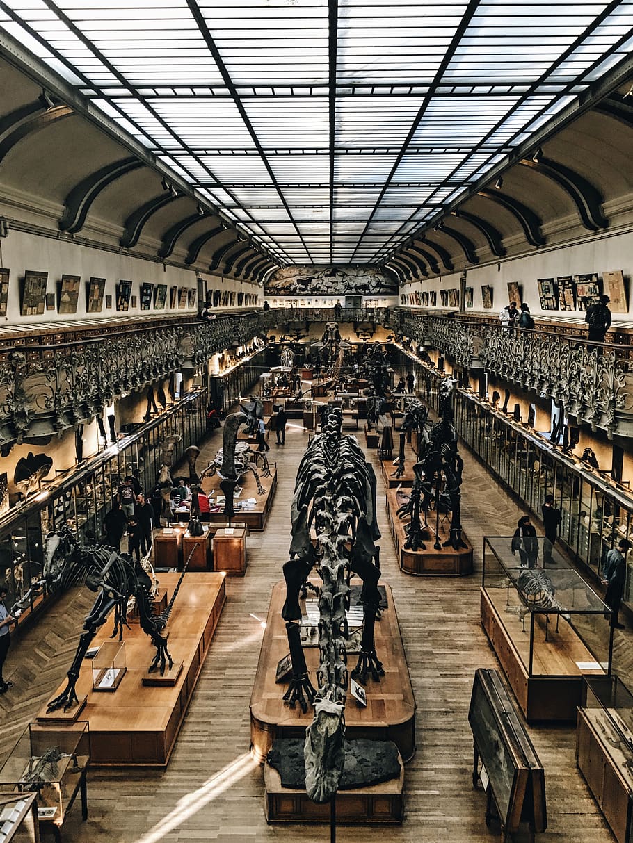 architecture, building, structure, establishment, ceiling, museum HD wallpaper