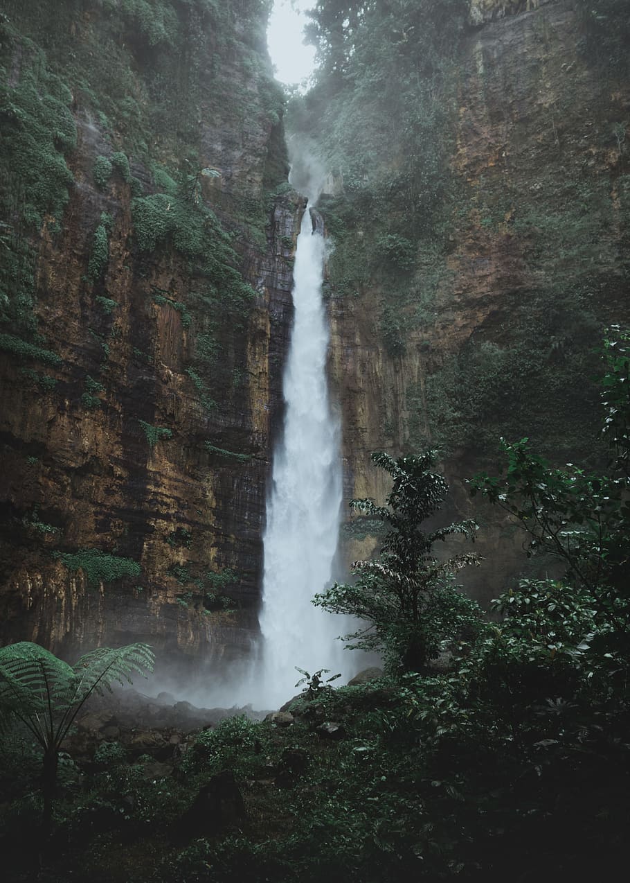 waterfall during daytime, jungle, morning, fresh, cool, vibe