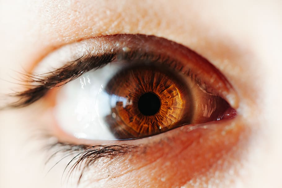 eye, human eye, eyesight, human body part, close-up, eyelash HD wallpaper