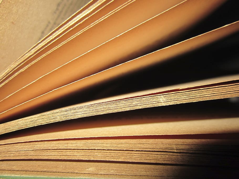 book, pages, read, old, brown, yellow, reading, full frame HD wallpaper