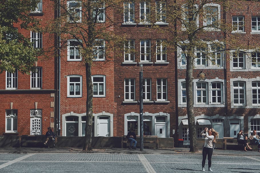 architecture, building, infrastructure, university, city, tree HD wallpaper