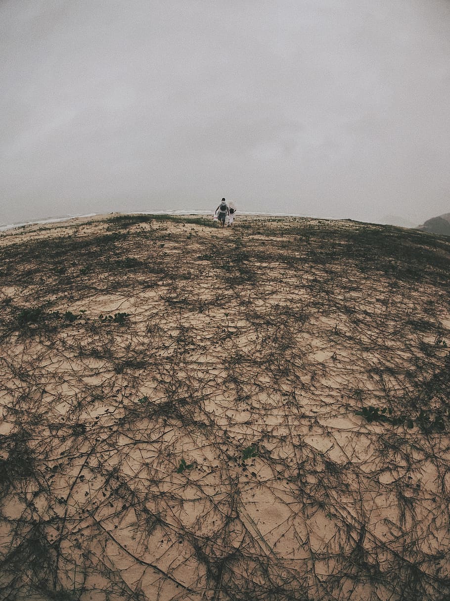Person Standing on Brown Land, daylight, desert, environment HD wallpaper