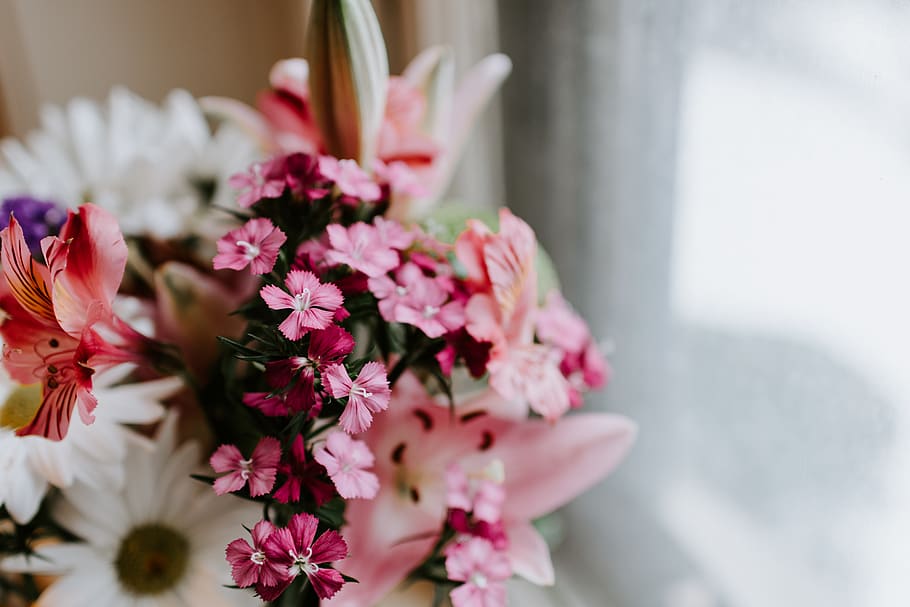 assorted flowers in selective focus photography, flowering plant HD wallpaper