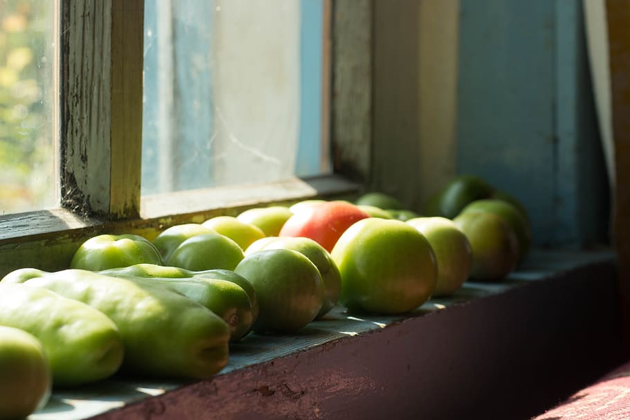 tomatoes, window, nutrition, healthy, vegetables, there are HD wallpaper