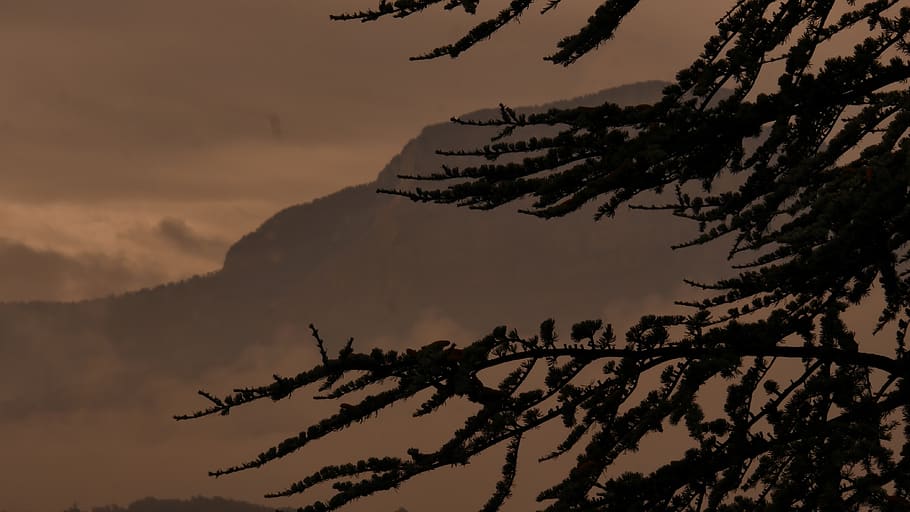 mountain, landscape, wallpaper, nature, tree, automn, sky, silhouette HD wallpaper