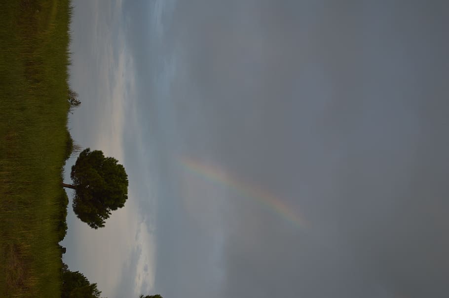rainbow, water, beauty in nature, scenics - nature, tree, no people HD wallpaper