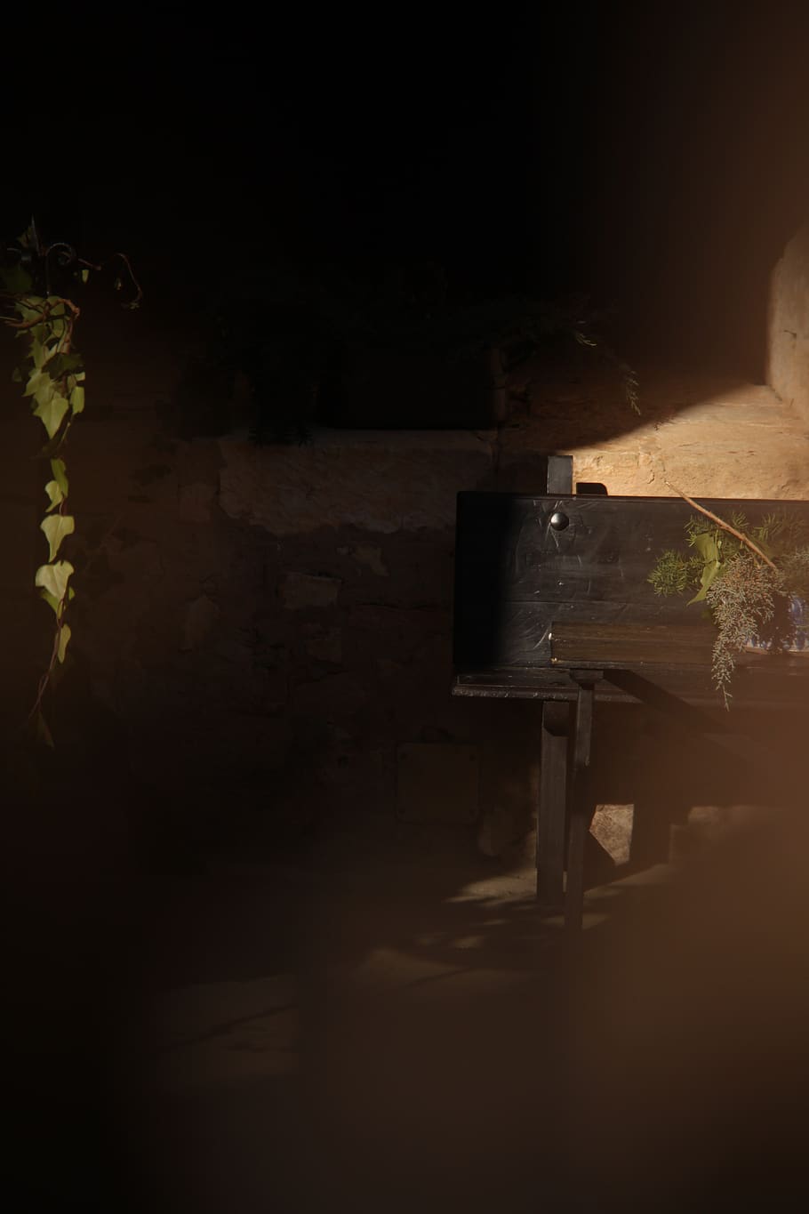 spain, madrid, vine, shadows, europe, table, bench, no people HD wallpaper